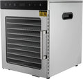 Salmeee Dörrautomaten, 800w, Rostfreier Stahl, Silber, Edelstahl Dörrautomat 10 fach, Dörrgerät mit Temperaturregler (30-90℃) Timer bis zu 24 h